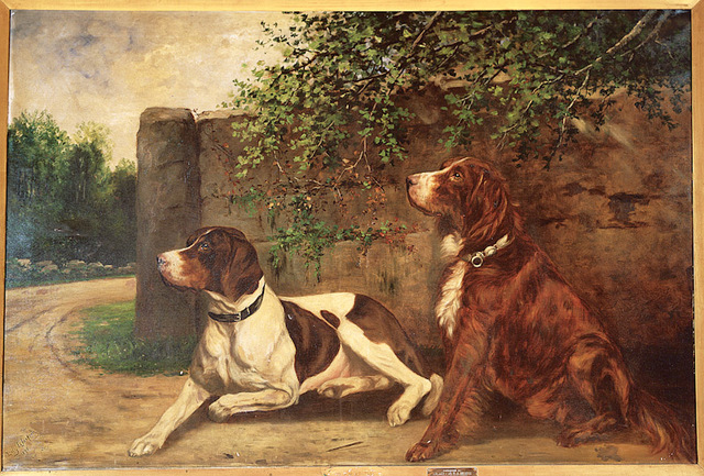 Jackson__lily_irene_-_two_bird_dogs_up_standard