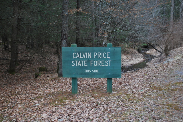 Calvin_price_state_forest_-_sign_standard