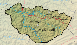 Mcdowell1200ap_medium