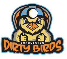 Dirty_birds_logo_medium